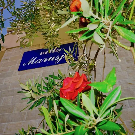 Marusia Front Seget-trogir